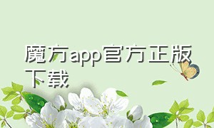 魔方app官方正版下载