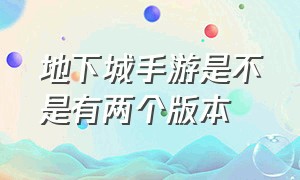 地下城手游是不是有两个版本