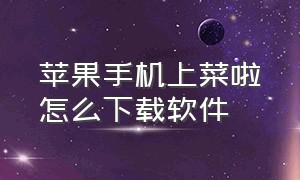 苹果手机上菜啦怎么下载软件