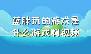 蓝胖玩的游戏是什么游戏啊视频