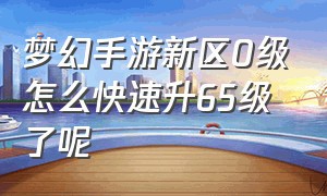 梦幻手游新区0级怎么快速升65级了呢