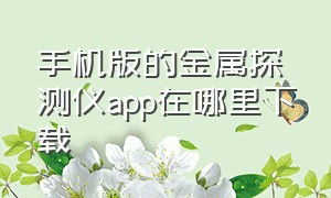 手机版的金属探测仪app在哪里下载