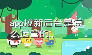 app拉新后台是怎么运营的