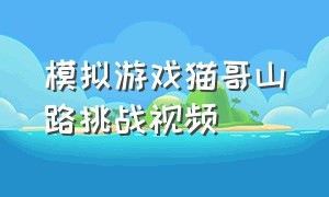 模拟游戏猫哥山路挑战视频