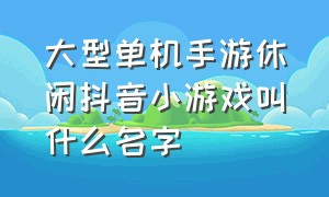 大型单机手游休闲抖音小游戏叫什么名字