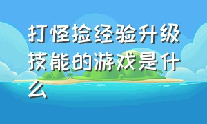 打怪捡经验升级技能的游戏是什么