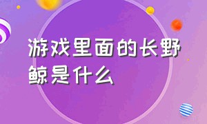 游戏里面的长野鲸是什么