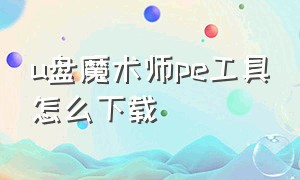 u盘魔术师pe工具怎么下载