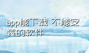 app能下载 不能安装的软件