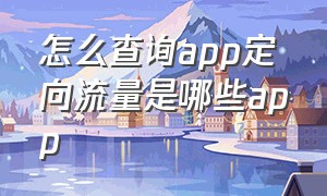 怎么查询app定向流量是哪些app