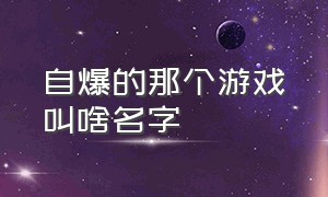 自爆的那个游戏叫啥名字