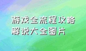 游戏全流程攻略解说大全图片