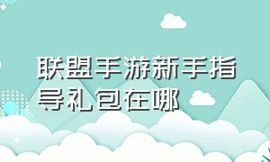 联盟手游新手指导礼包在哪