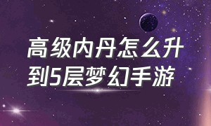 高级内丹怎么升到5层梦幻手游