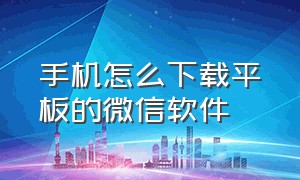 手机怎么下载平板的微信软件