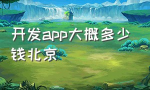 开发app大概多少钱北京