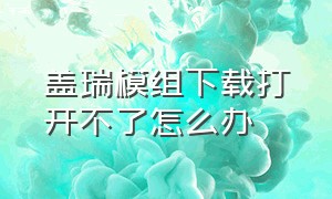 盖瑞模组下载打开不了怎么办