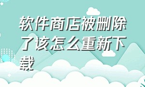 软件商店被删除了该怎么重新下载