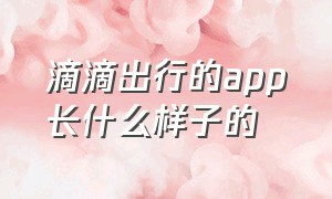 滴滴出行的app长什么样子的