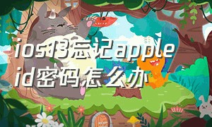 ios13忘记apple id密码怎么办