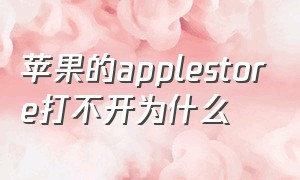 苹果的applestore打不开为什么