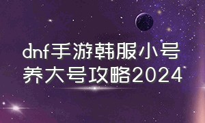 dnf手游韩服小号养大号攻略2024