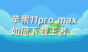 苹果11pro max如何下载王者