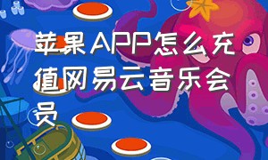 苹果APP怎么充值网易云音乐会员