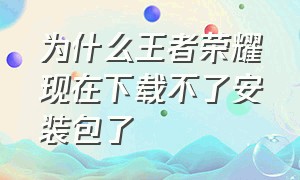 为什么王者荣耀现在下载不了安装包了