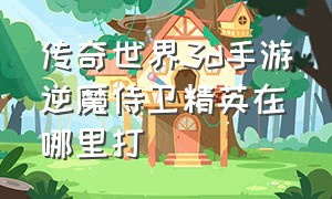 传奇世界3d手游逆魔侍卫精英在哪里打