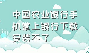 中国农业银行手机掌上银行下载安装不了