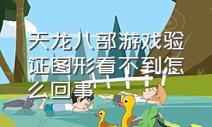 天龙八部游戏验证图形看不到怎么回事