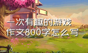 一次有趣的游戏作文800字怎么写