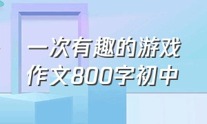 一次有趣的游戏作文800字初中