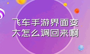 飞车手游界面变大怎么调回来啊