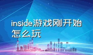 inside游戏刚开始怎么玩