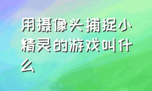 用摄像头捕捉小精灵的游戏叫什么