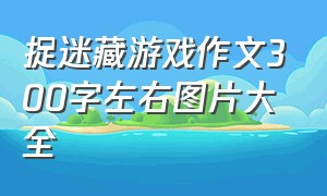 捉迷藏游戏作文300字左右图片大全