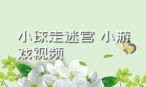 小球走迷宫 小游戏视频