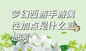 梦幻西游手游属性加点是什么意思啊