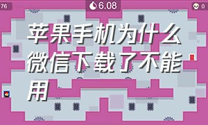 苹果手机为什么微信下载了不能用