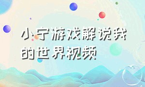 小宁游戏解说我的世界视频