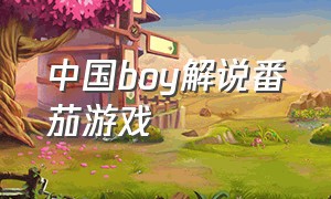 中国boy解说番茄游戏