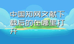 中国知网文献下载后的在哪里打开