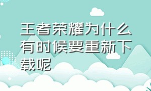 王者荣耀为什么有时候要重新下载呢