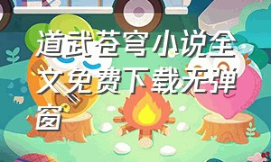 道武苍穹小说全文免费下载无弹窗