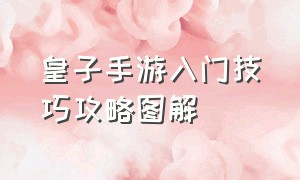 皇子手游入门技巧攻略图解