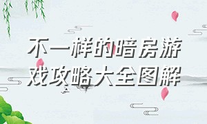 不一样的暗房游戏攻略大全图解