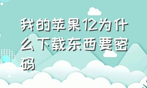 我的苹果12为什么下载东西要密码