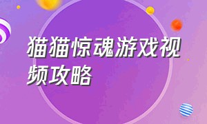 猫猫惊魂游戏视频攻略